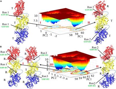 The Assembly Switch Mechanism of FtsZ Filament Revealed by All-Atom Molecular Dynamics Simulations and Coarse-Grained Models